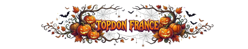 TOPDON